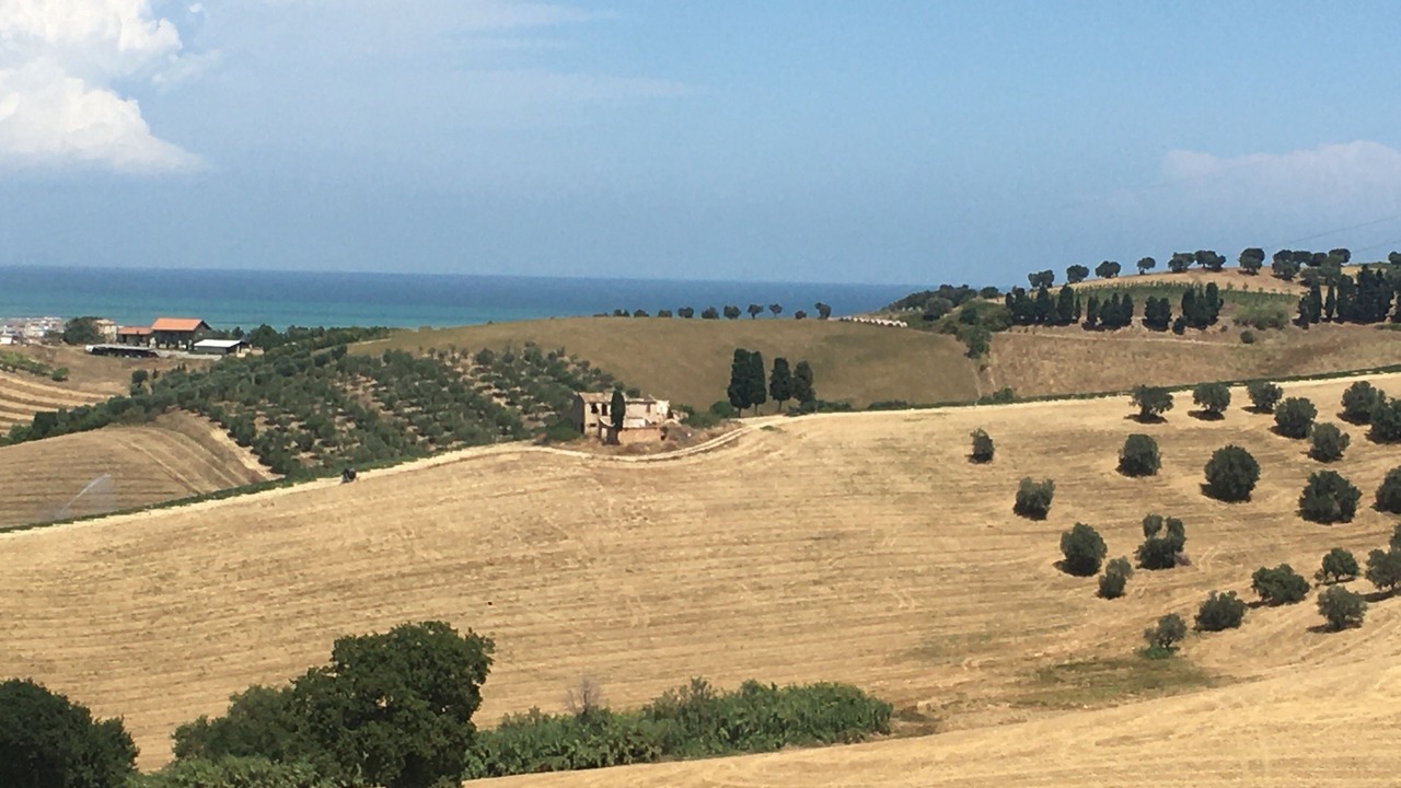 Photo of Others in Cologna Spiaggia