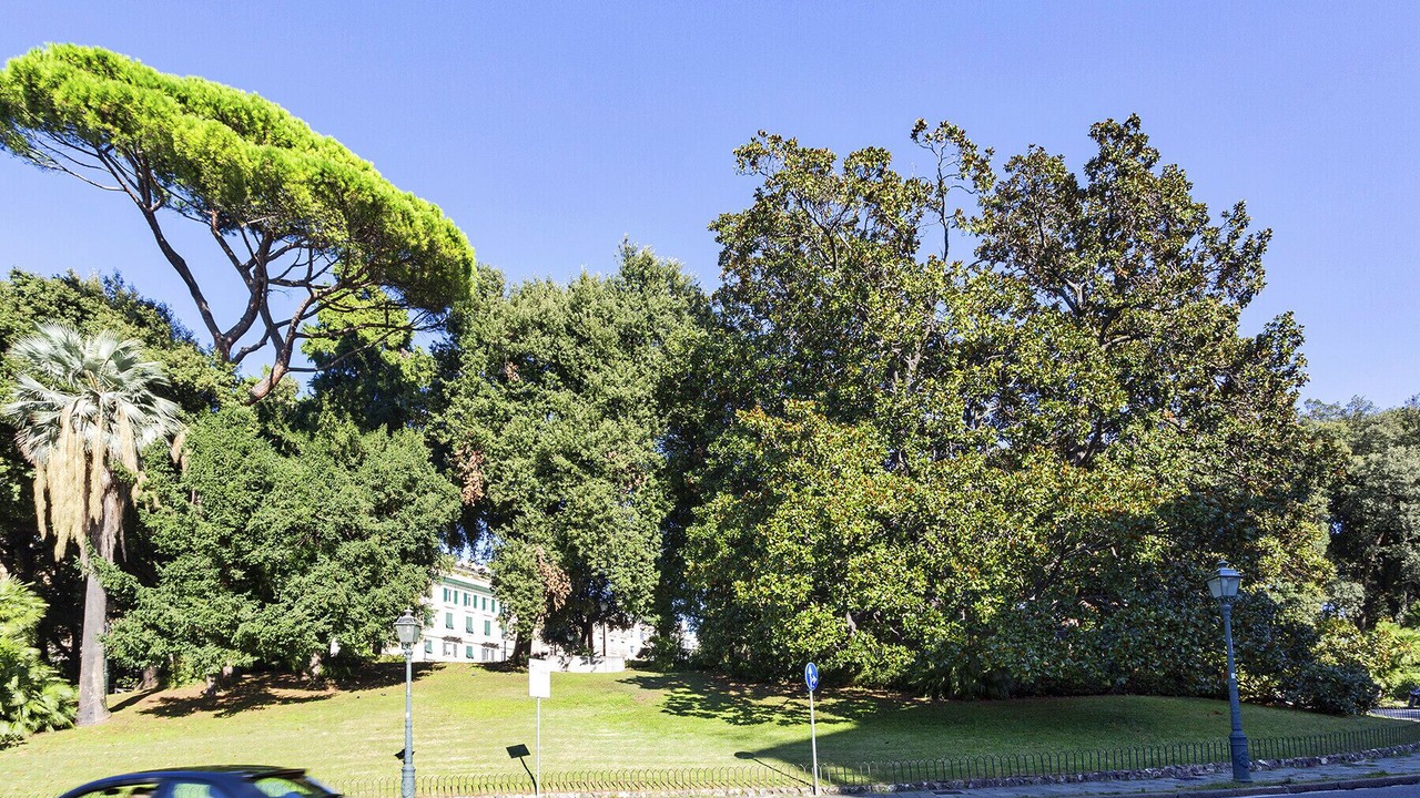 Photo of Outdoor in San Vincenzo