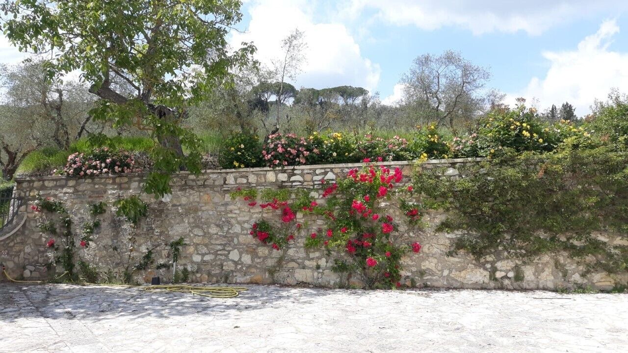 Photo of Outdoor in San Donato in Collina