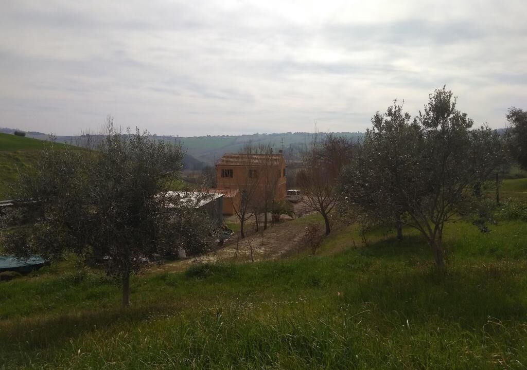 Photo of Outdoor in Montelupone