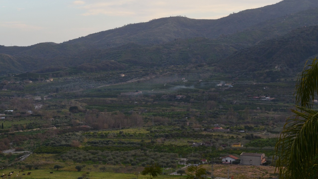 Photo of Outdoor in Mitogio