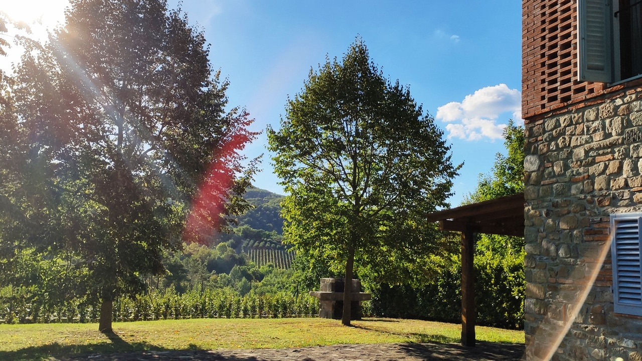 Photo of Outdoor in Greve in Chianti