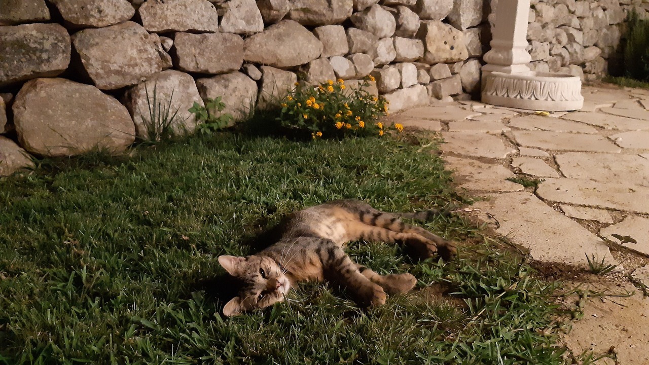 Photo of Outdoor in Rosolini