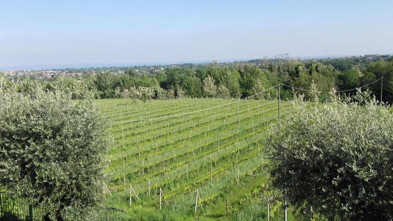 Photo of Outdoor in Polpenazze del Garda