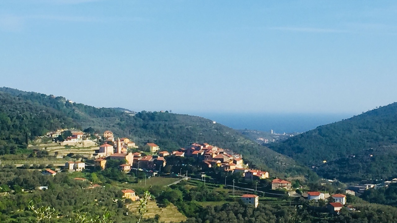 Photo of Outdoor in Gazzelli