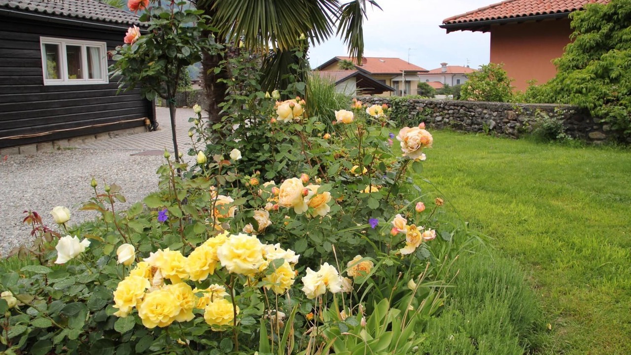 Photo of Outdoor in Cannobio