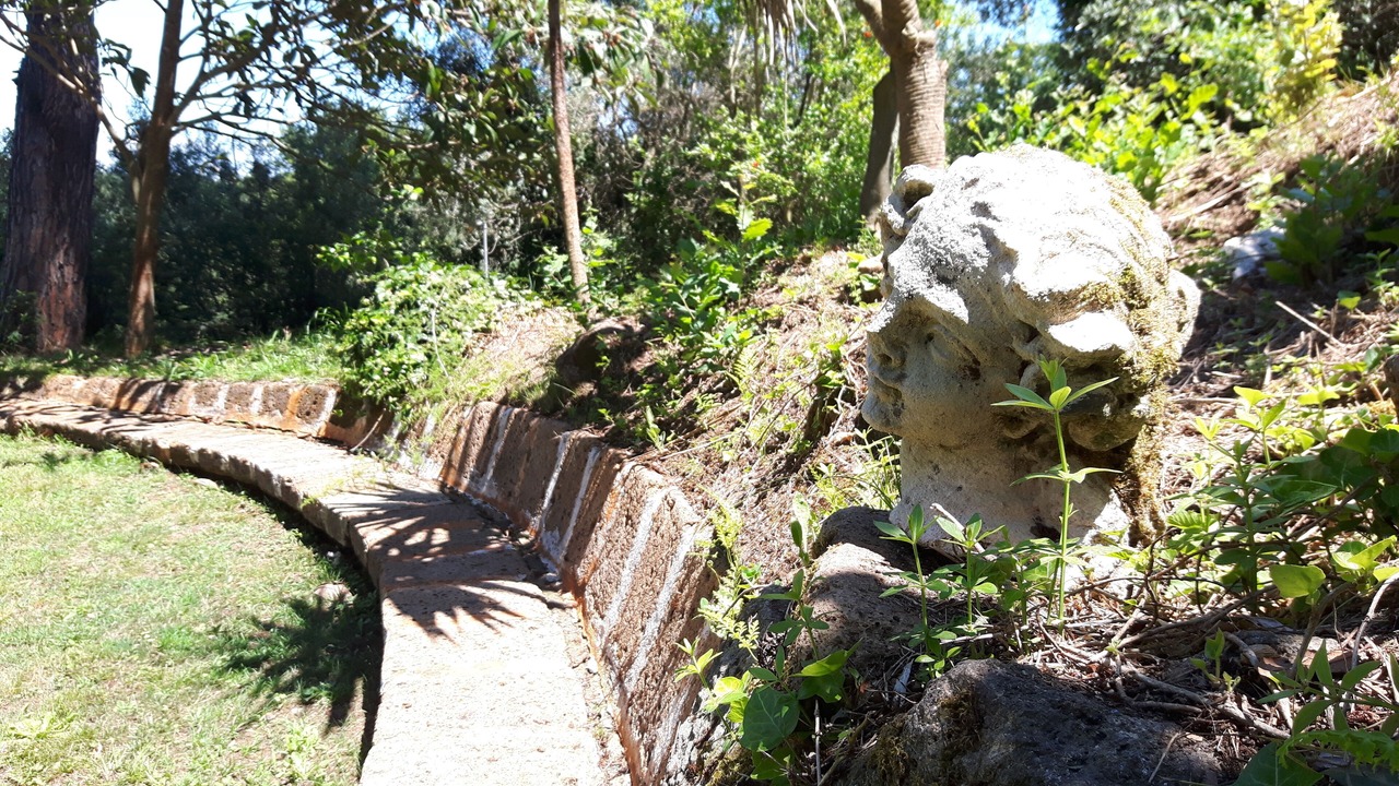 Photo of Outdoor in Lake Bracciano