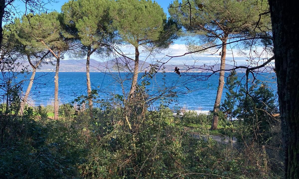 Photo of Others in Lake Bracciano