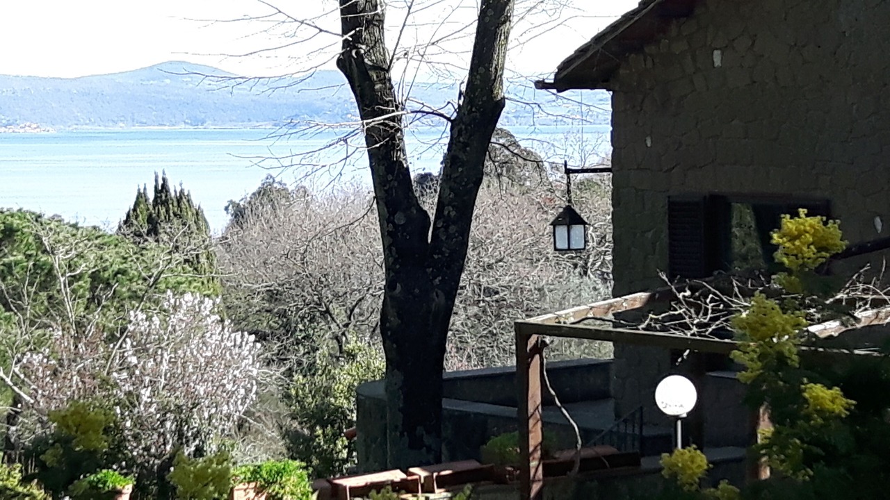 Photo of Outdoor in Lake Bracciano