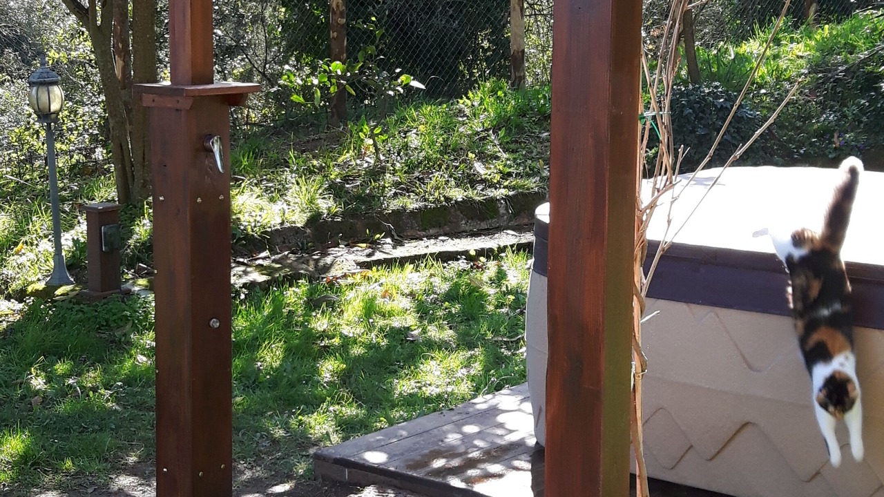 Photo of Outdoor in Lake Bracciano