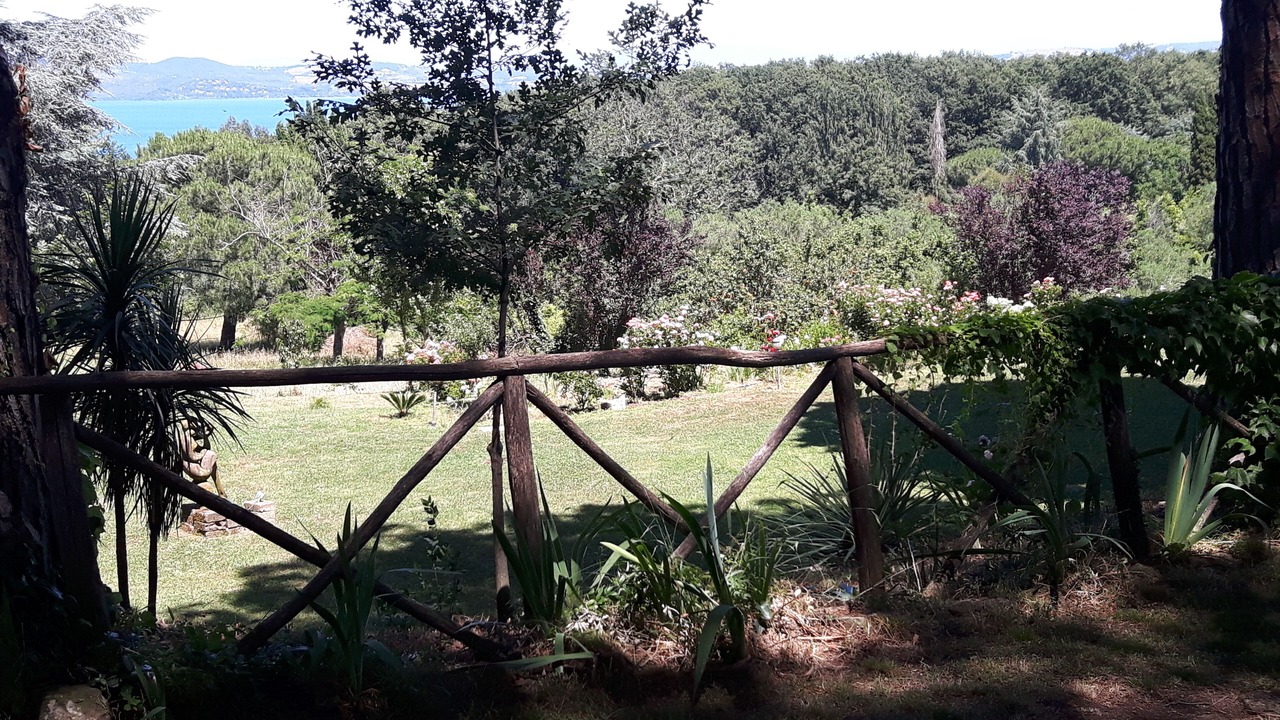 Photo of Outdoor in Lake Bracciano
