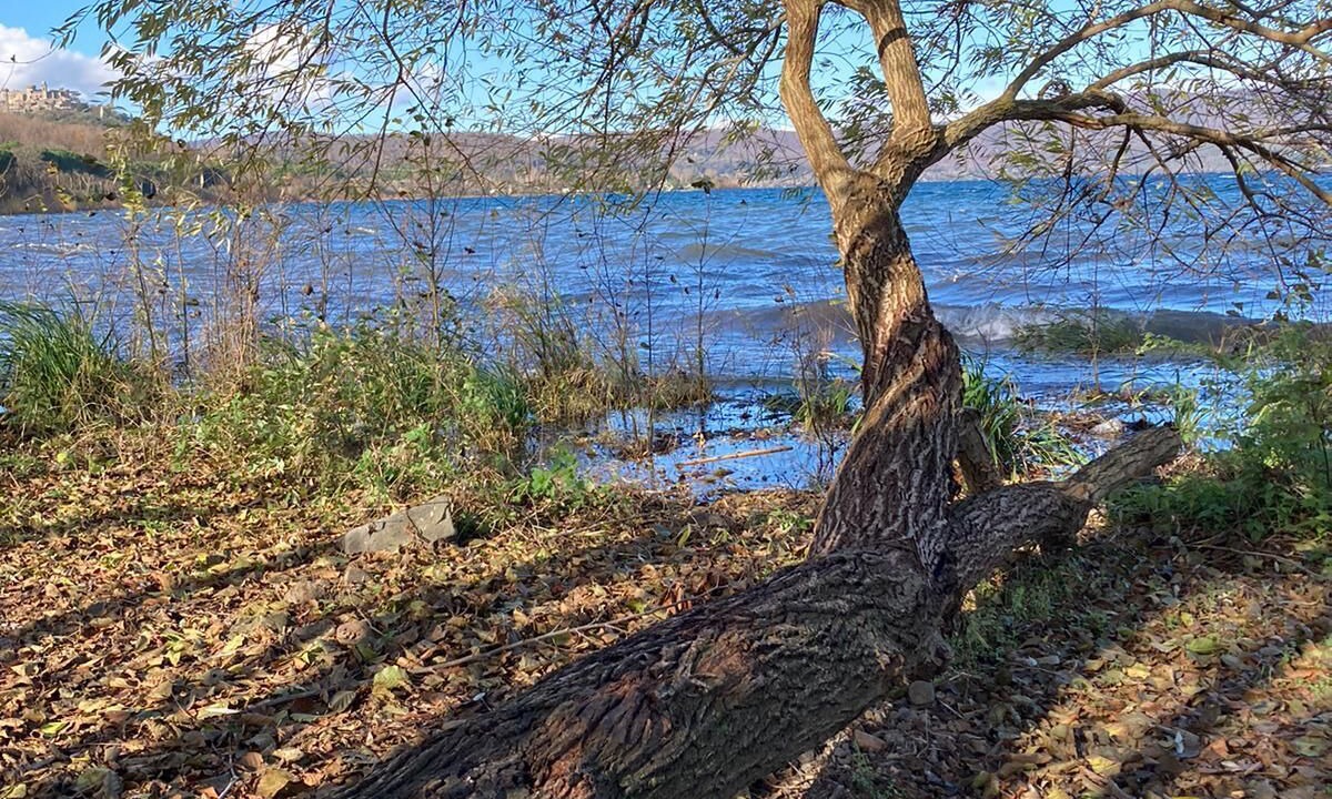 Photo of Outdoor in Lake Bracciano