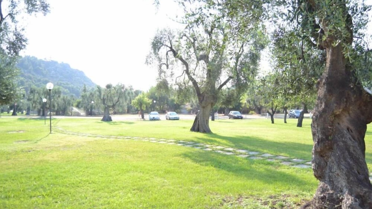 Photo of Outdoor in Vieste