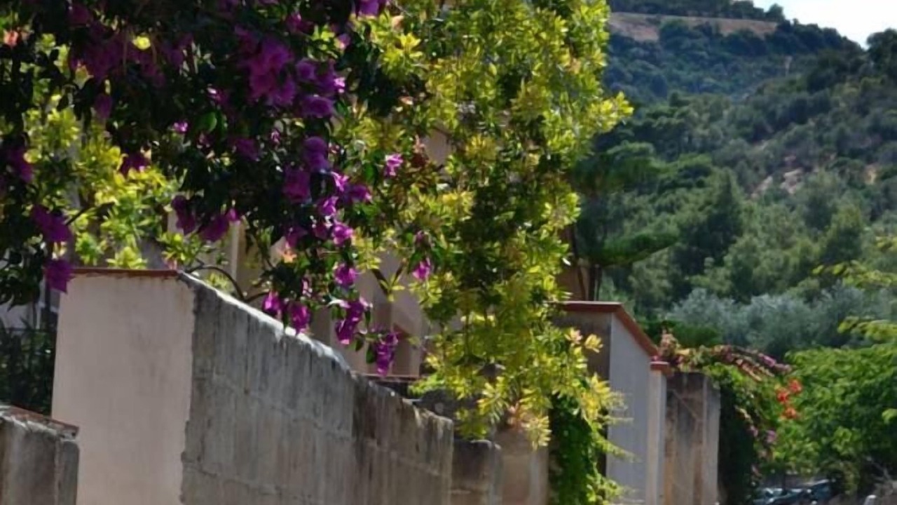 Photo of Others in Vieste