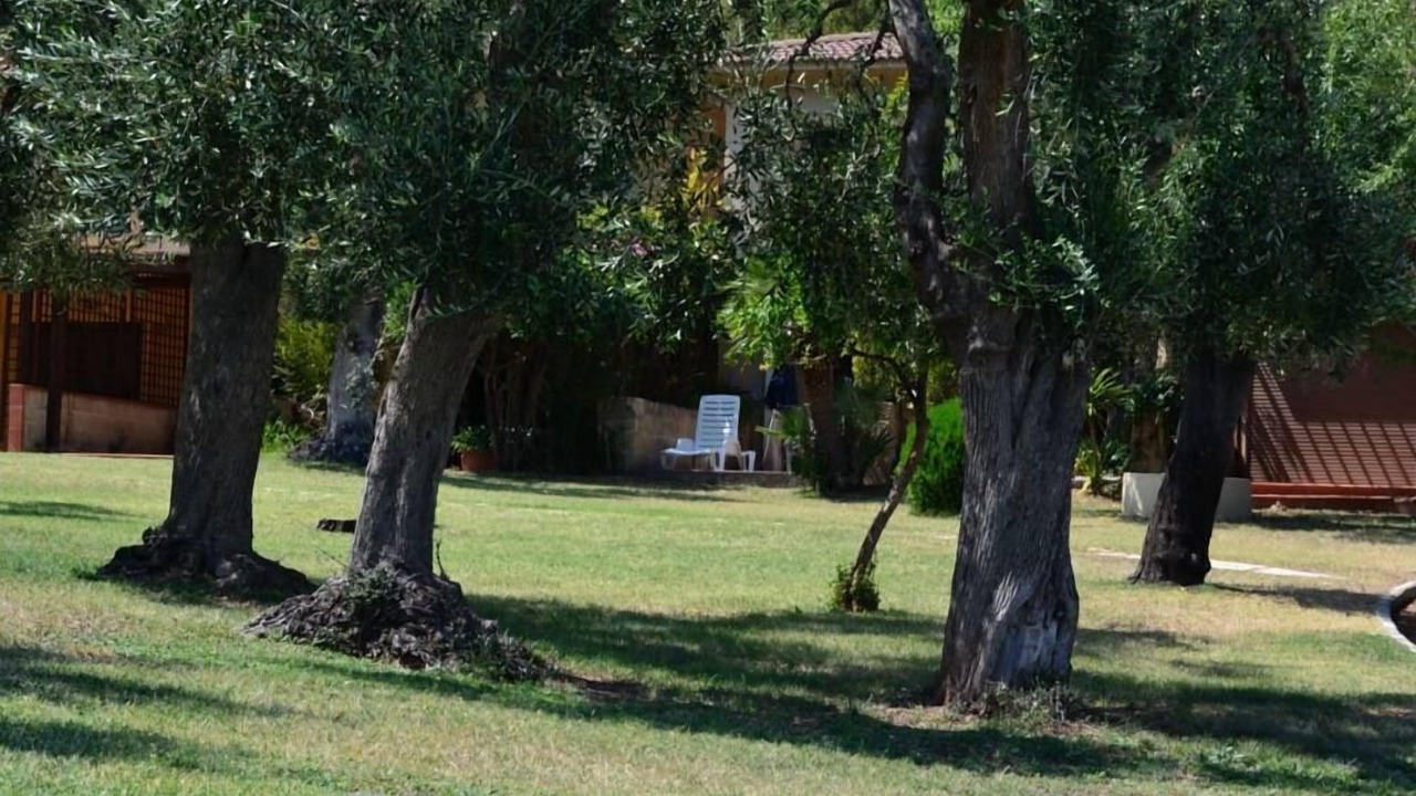 Photo of Others in Vieste