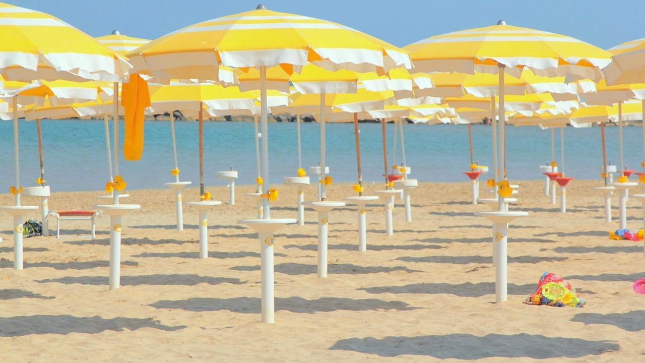 Photo of Others in Tavullia
