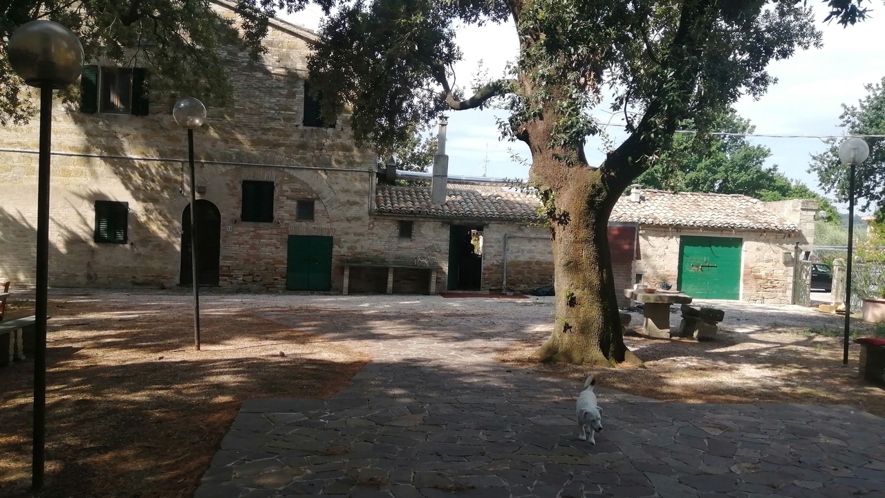 Photo of Outdoor in Treia