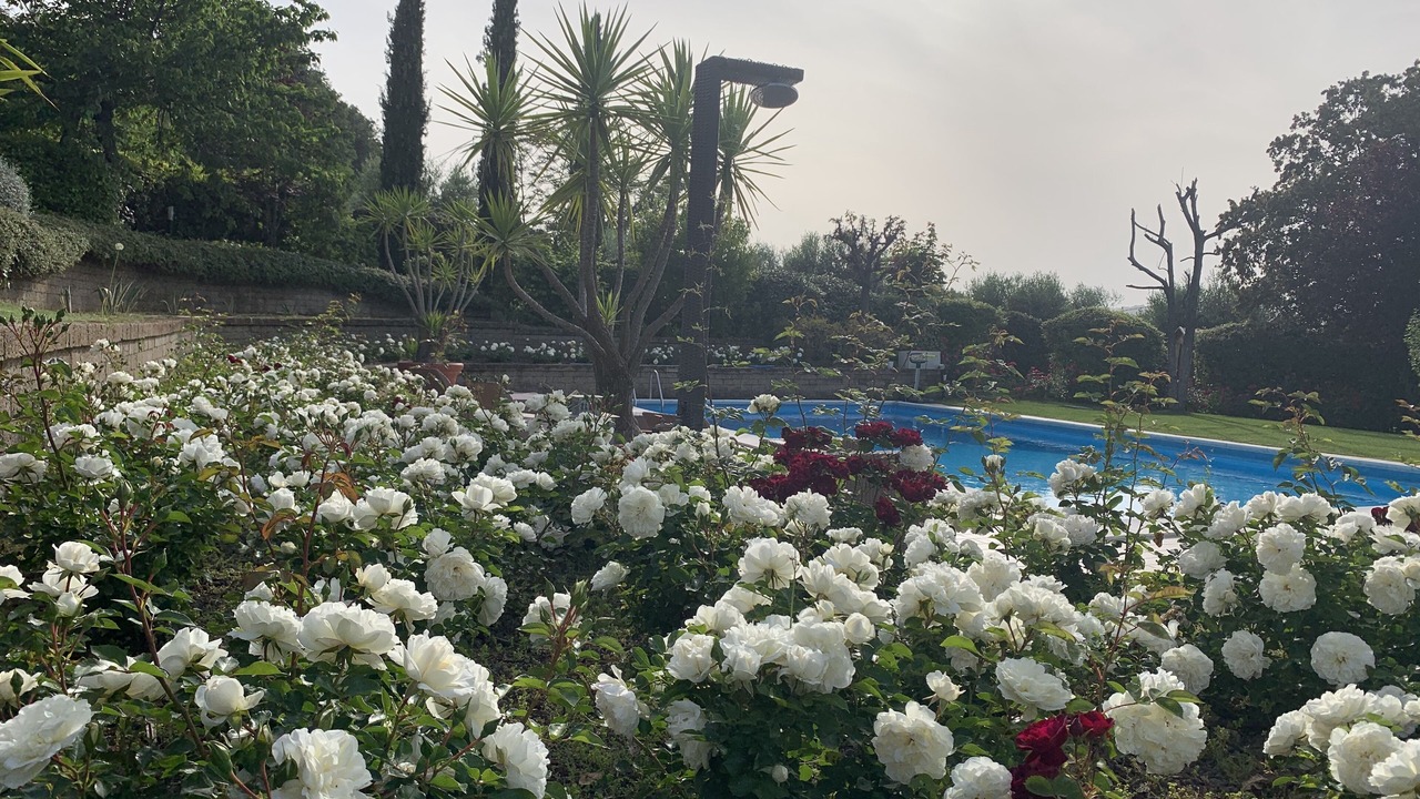 Photo of Outdoor in Civitanova Marche