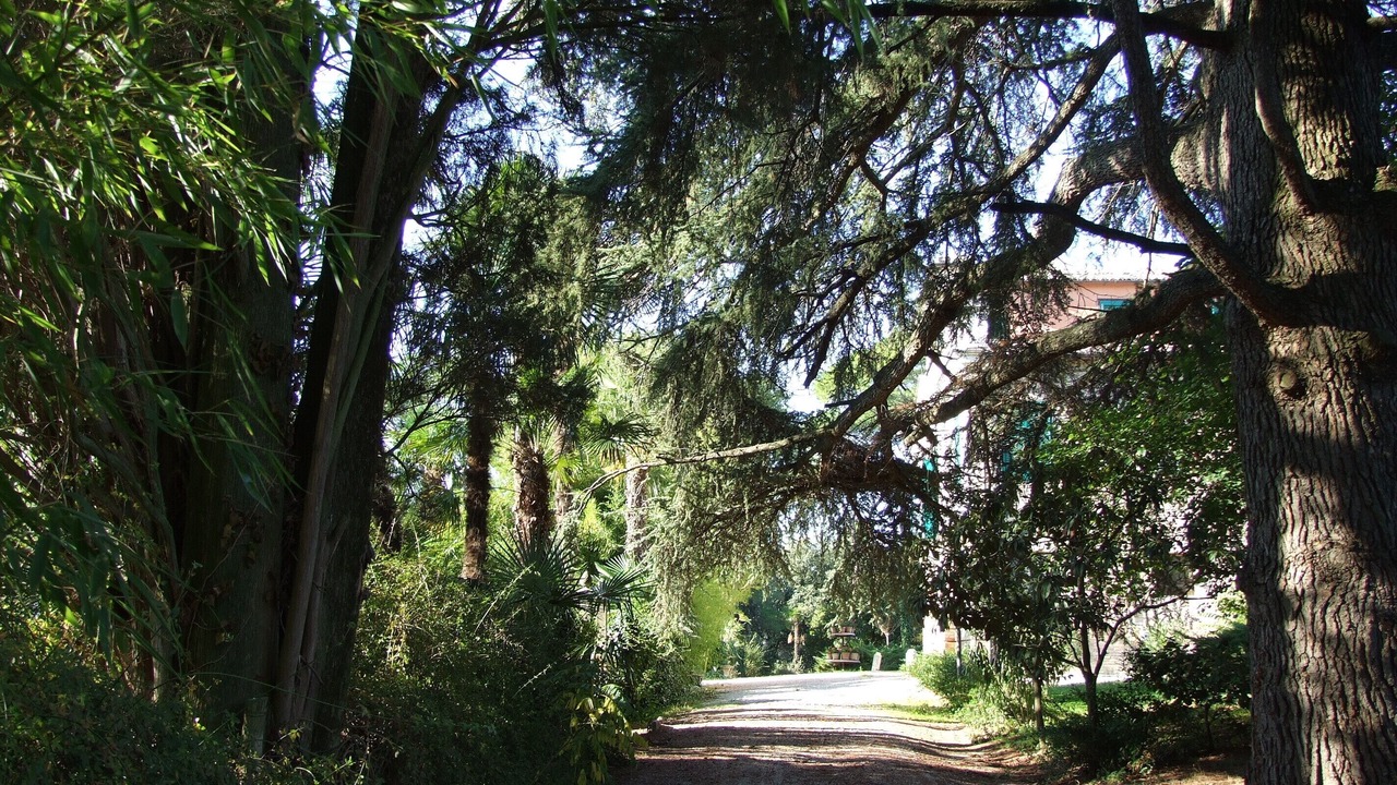 Photo of Outdoor in Treia