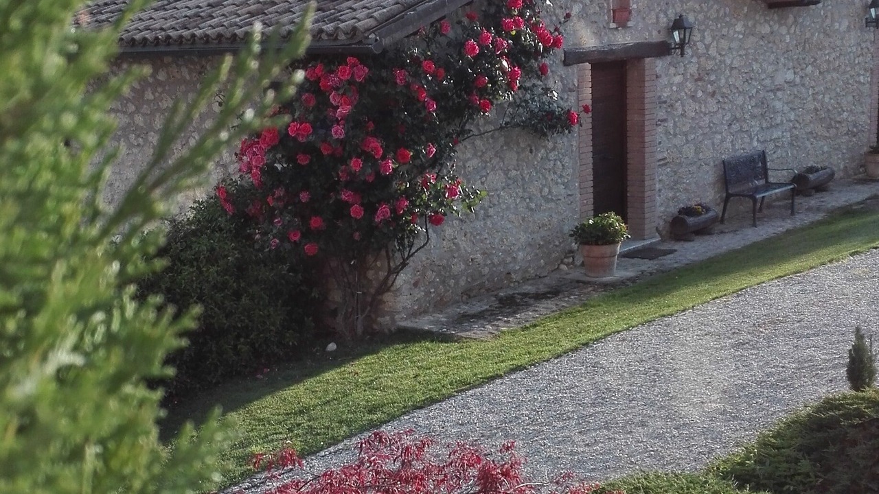 Photo of Outdoor in Fassinoro