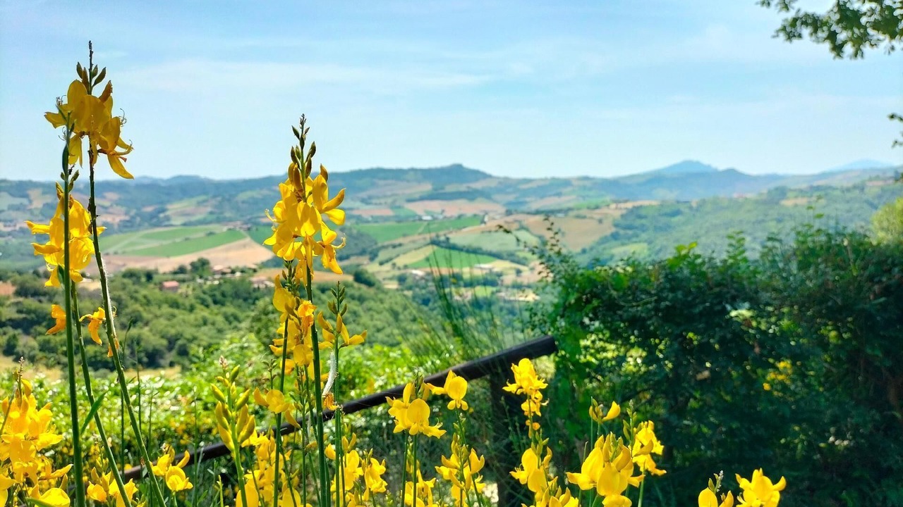 Photo of Outdoor in Penna San Giovanni