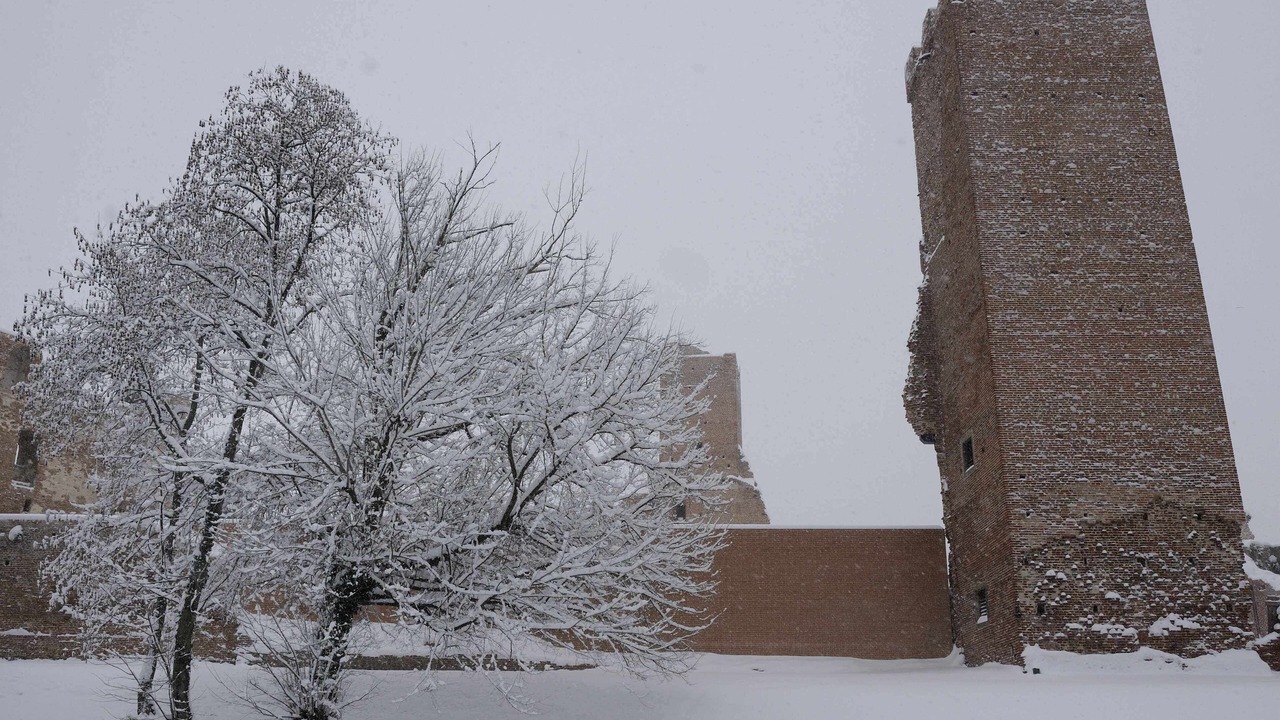Photo of Outdoor in Noale