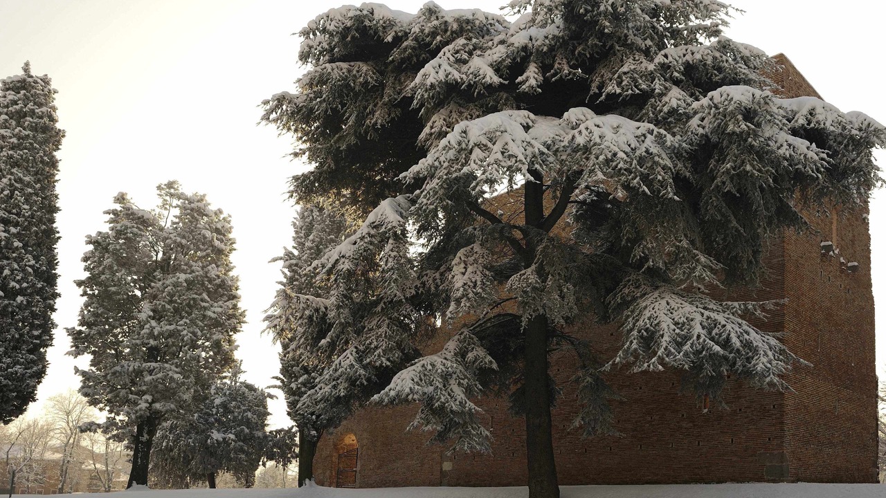 Photo of Outdoor in Noale