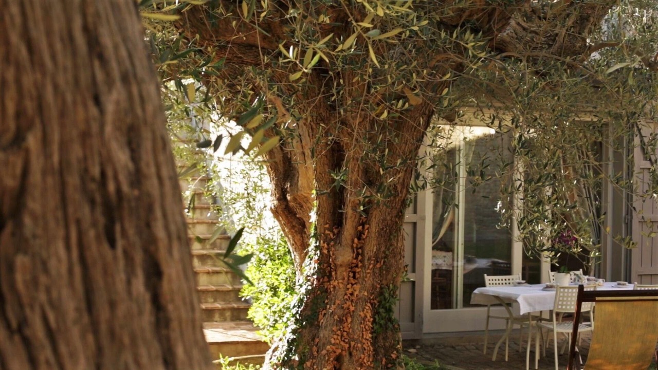 Photo of Outdoor in Santa Veneranda