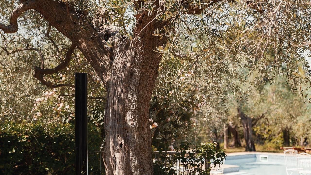 Photo of Outdoor in Santa Veneranda