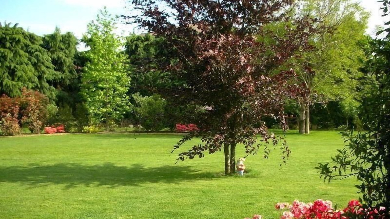 Photo of Outdoor in Borgo Ticino