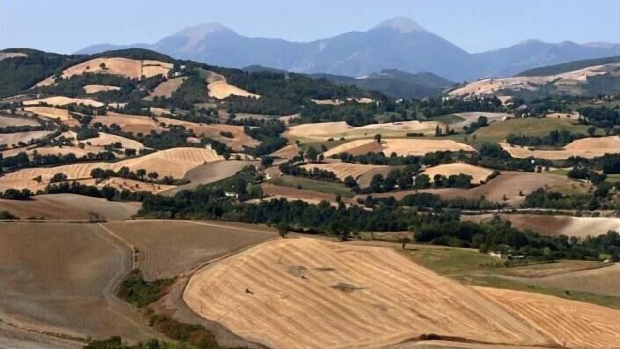 Photo of Outdoor in Urbino