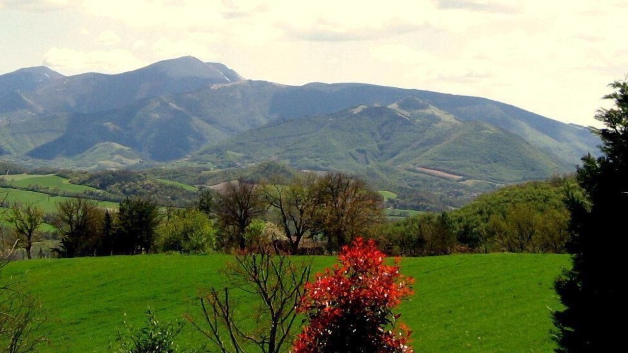 Photo of Others in Cagli