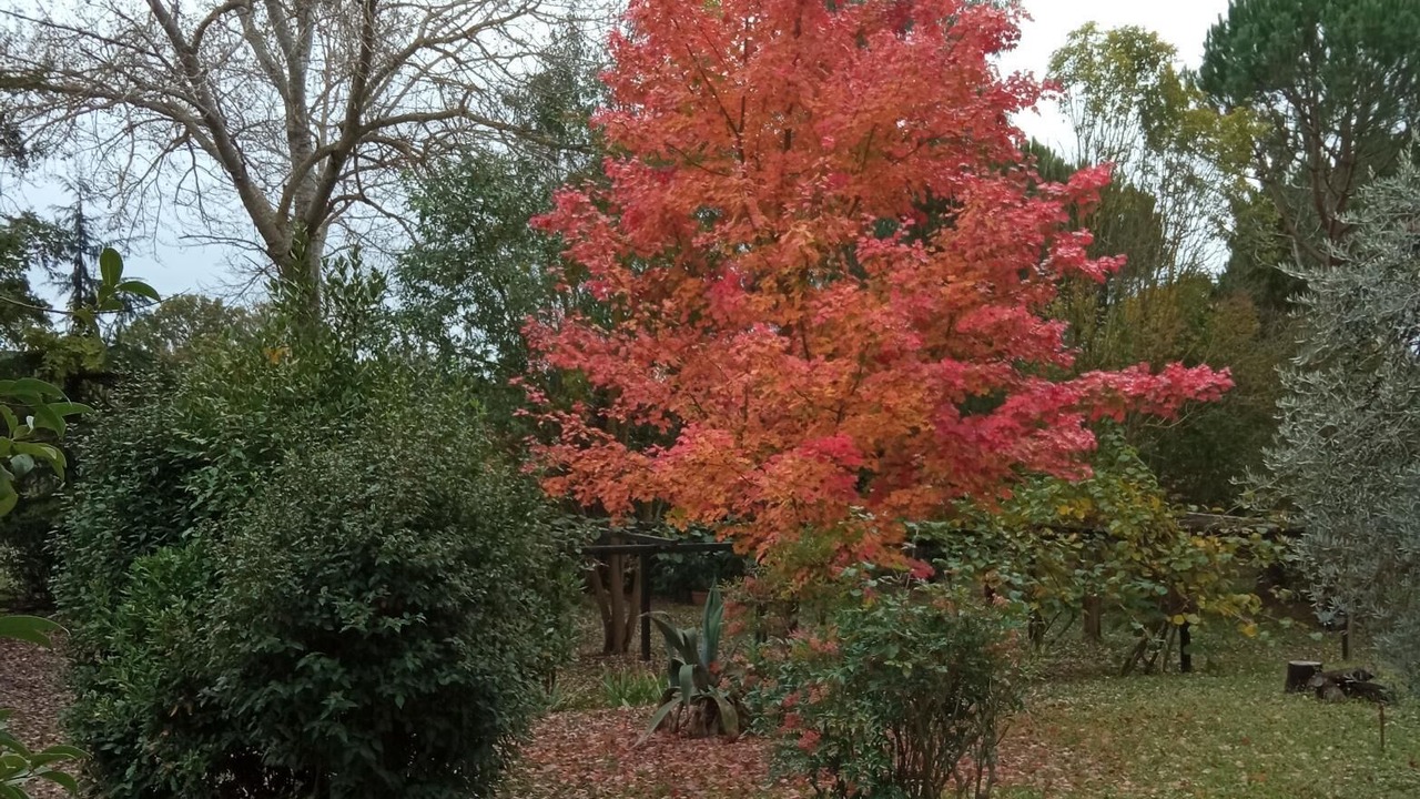 Photo of Outdoor in Canale Monterano
