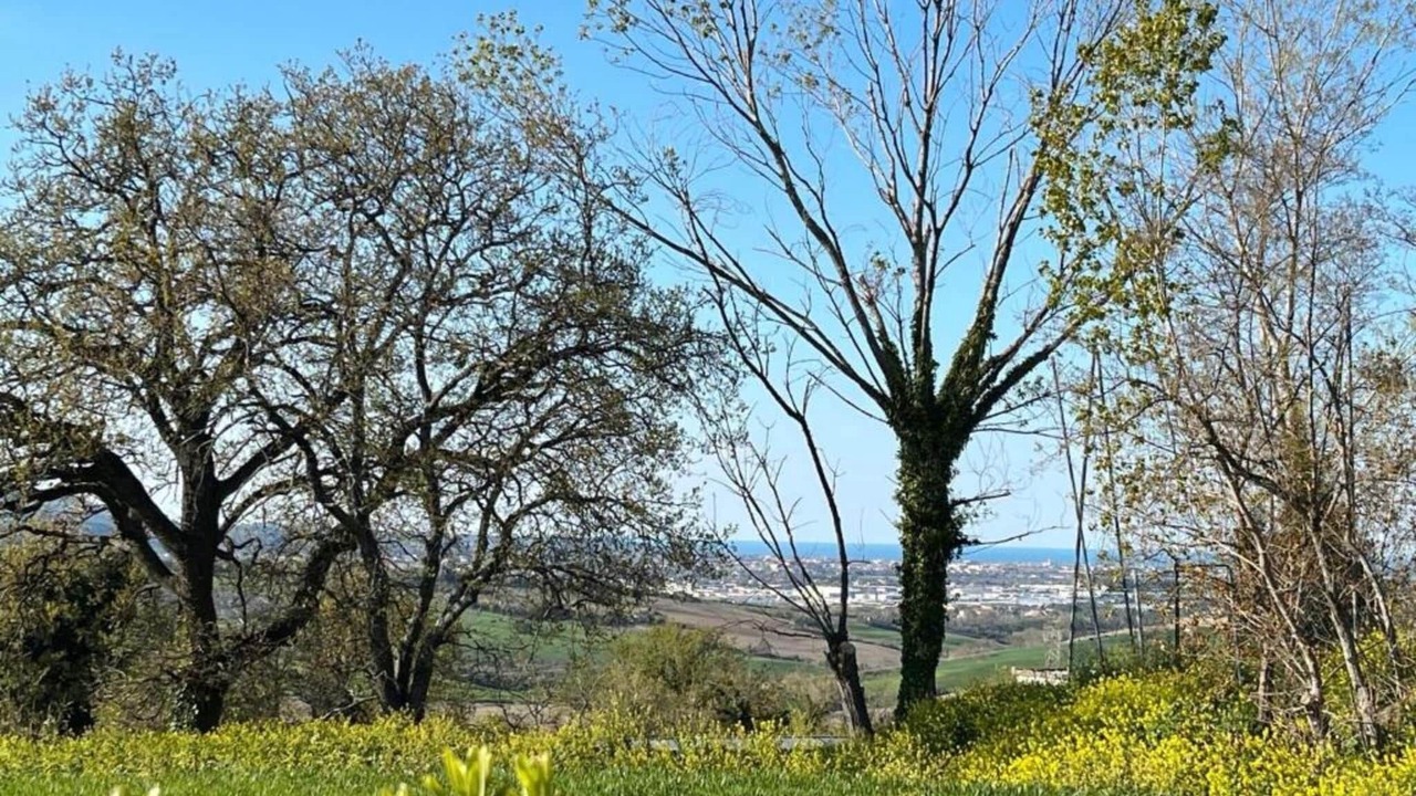 Photo of Others in Ponte Rio