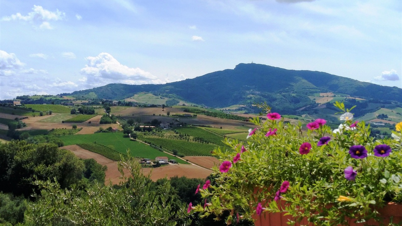 Photo of Others in Montalto delle Marche