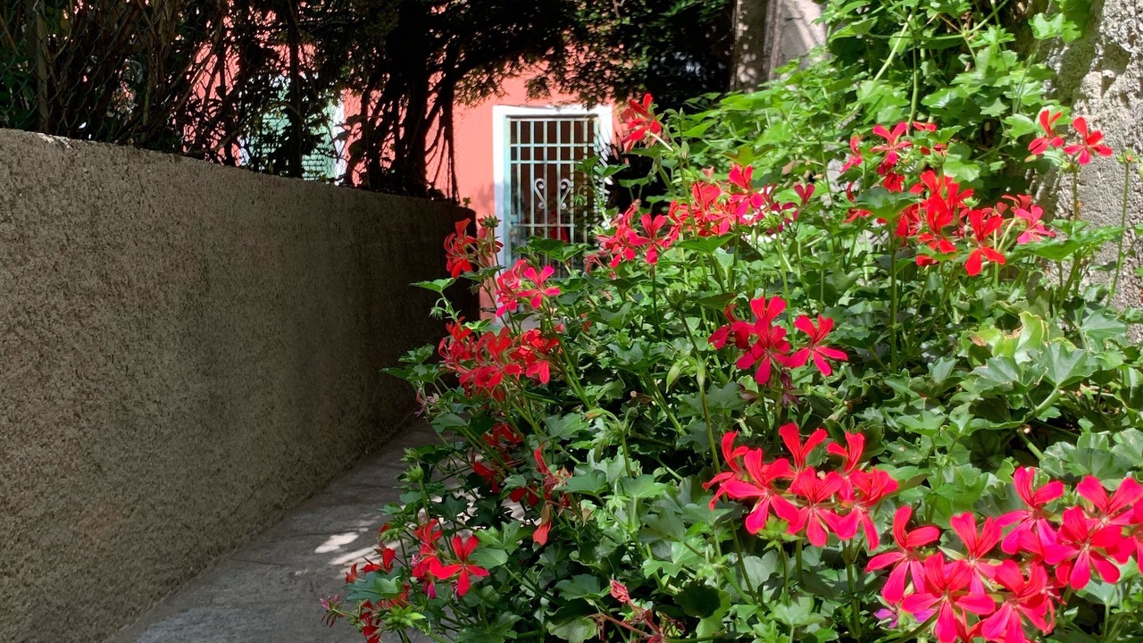 Photo of Outdoor in Arona