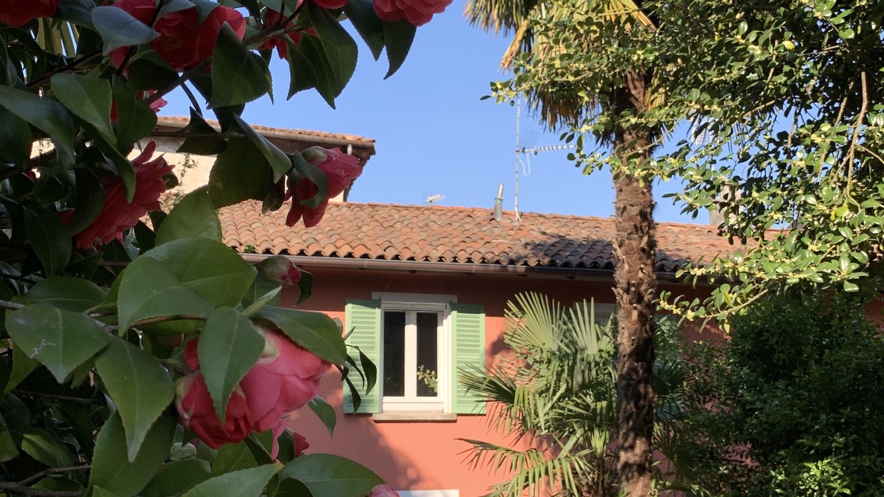Photo of Outdoor in Arona
