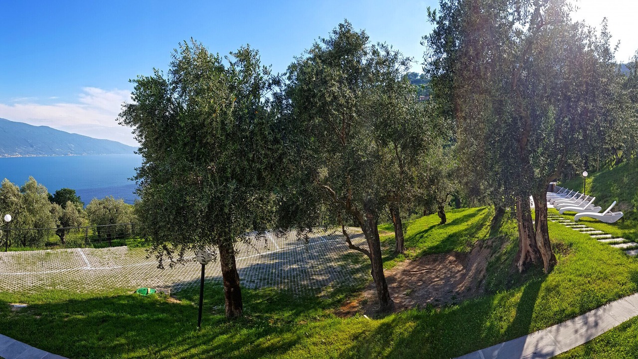 Photo of Outdoor in Arias