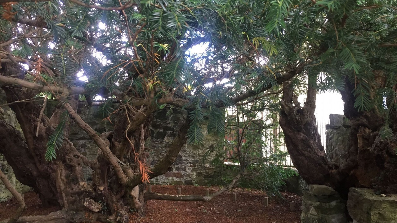 Photo of Outdoor in Margate Old Town