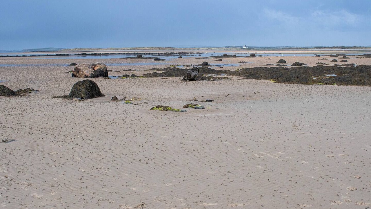 Photo of Others in Holyhead