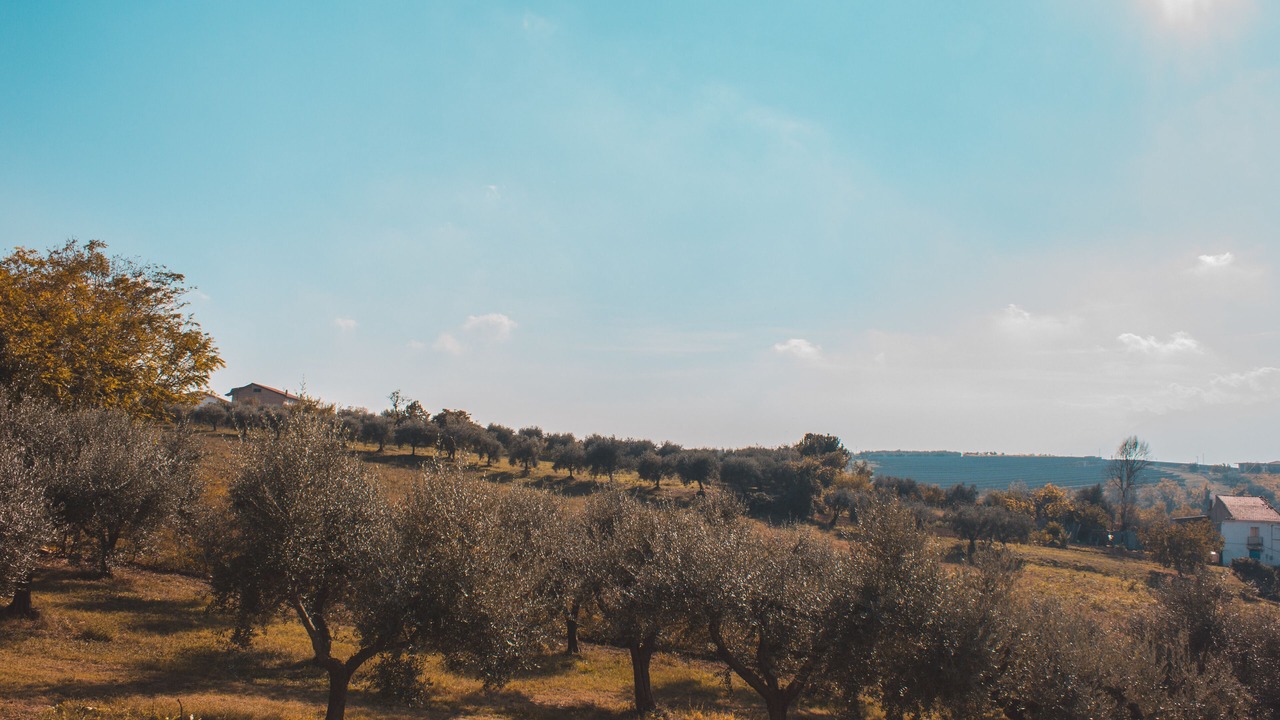 Photo of Others in Canosa Sannita