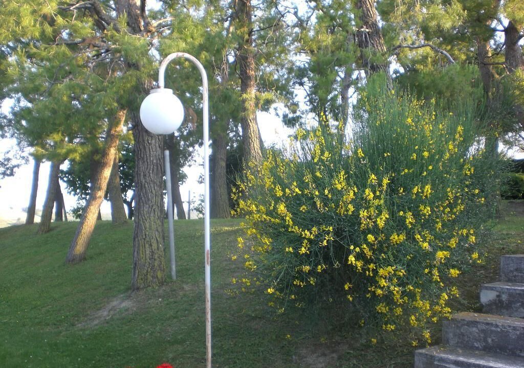 Photo of Outdoor in Porto San Giorgio