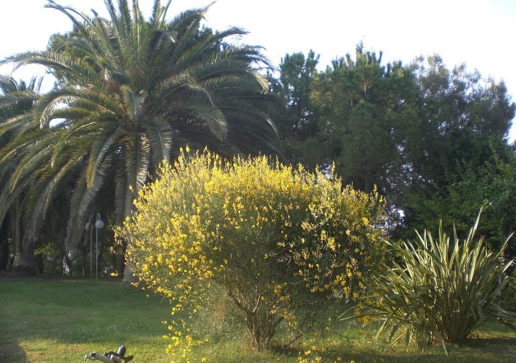 Photo of Outdoor in Porto San Giorgio