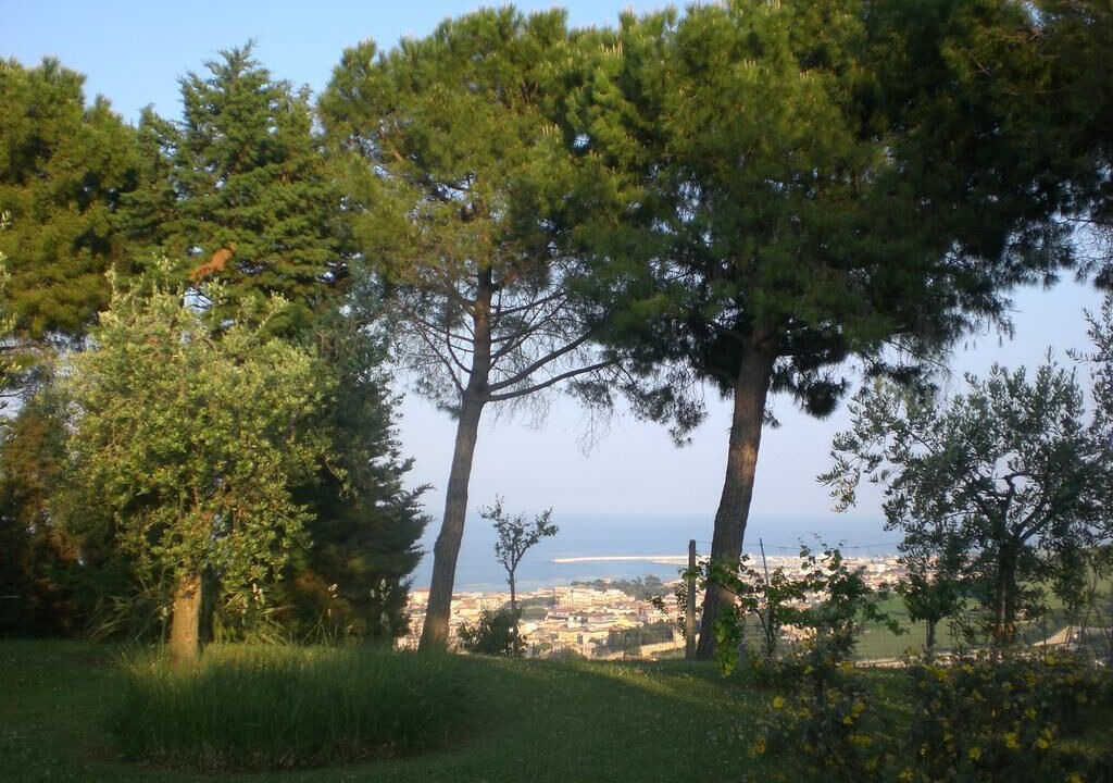 Photo of Outdoor in Porto San Giorgio