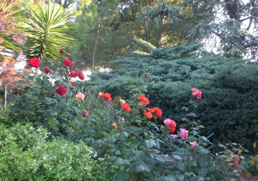 Photo of Outdoor in Porto San Giorgio