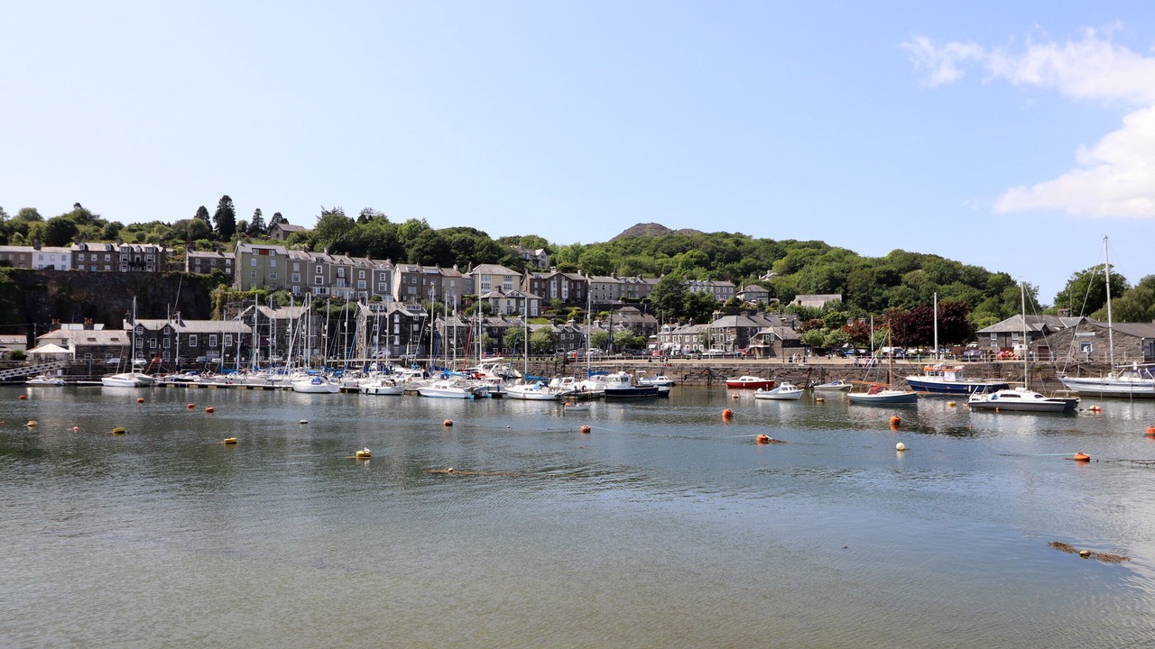 Photo of Others in Borth-y-Gest