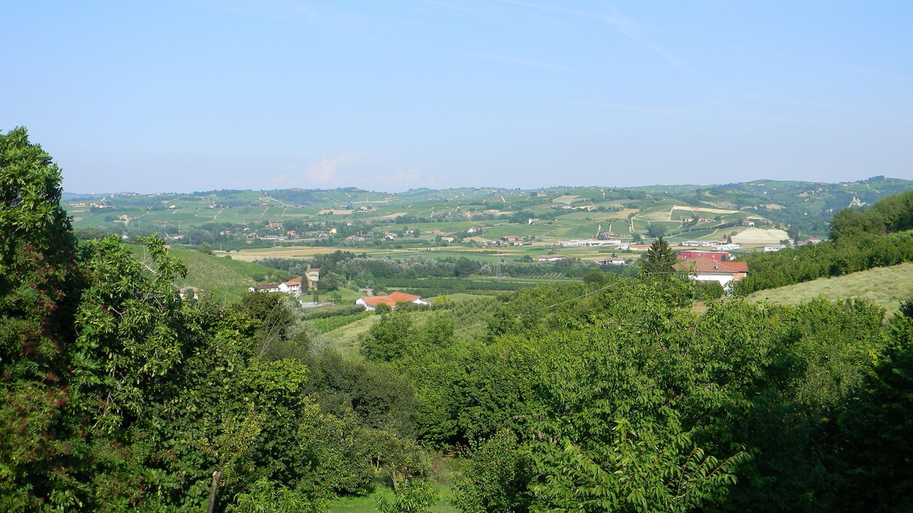 Photo of Outdoor in Calamandrana