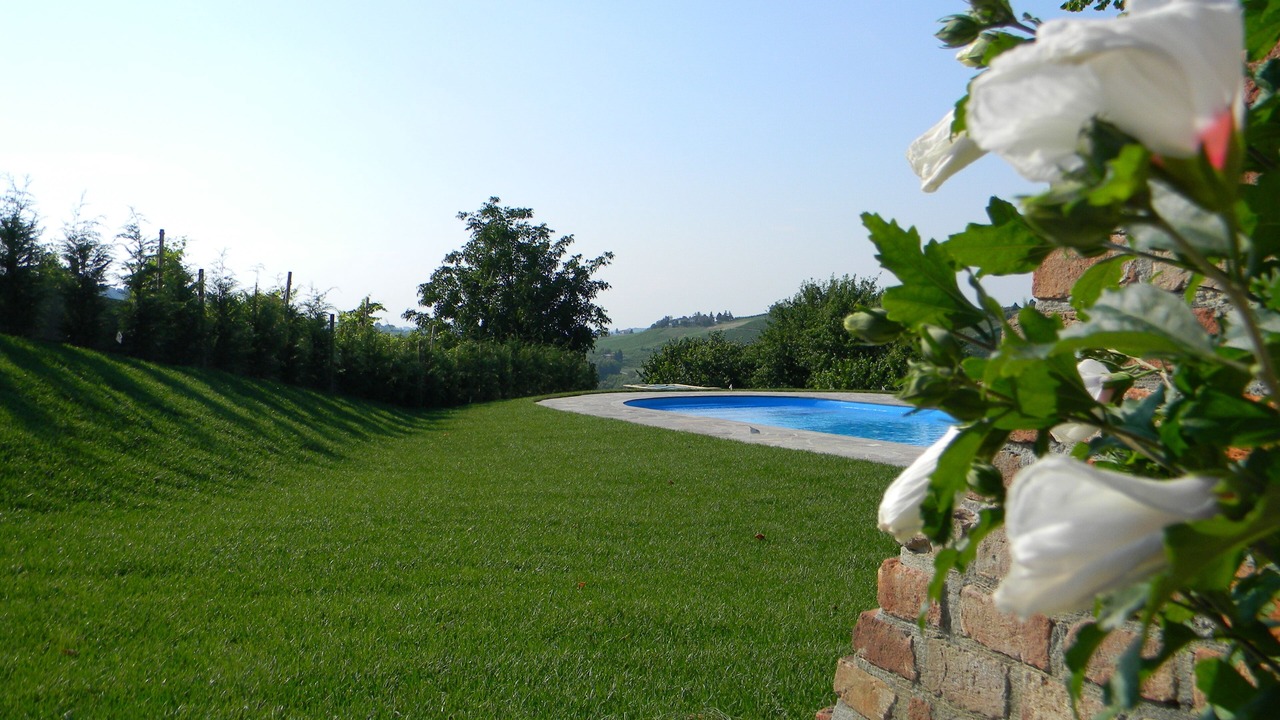 Photo of Outdoor in Calamandrana