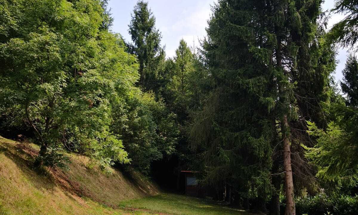 Photo of Outdoor in Treviso Bresciano
