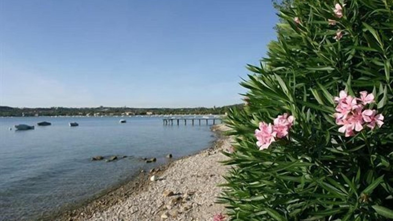 Photo of Others in San Felice del Benaco